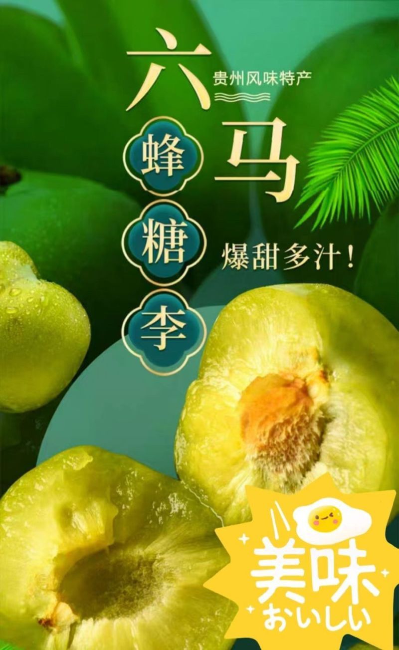 正宗贵州安顺六马蜂糖李。如假包换。坏果包赔