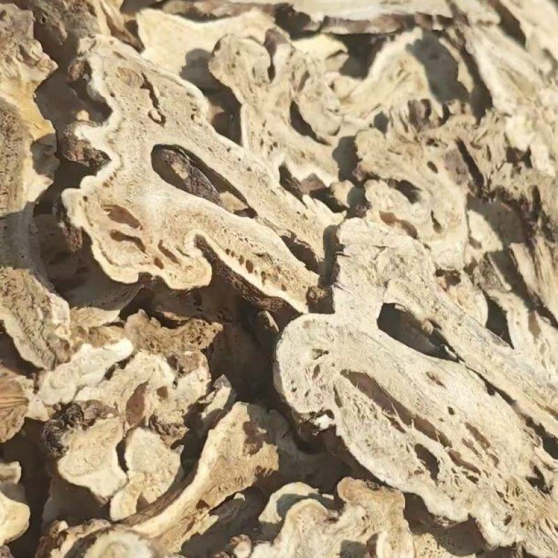 白术片