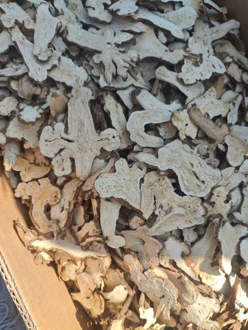 白术片