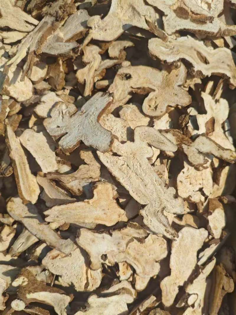 白术片