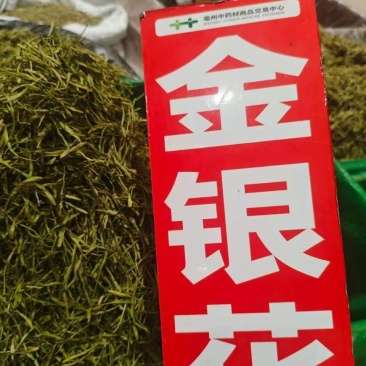 金银花