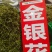 金银花