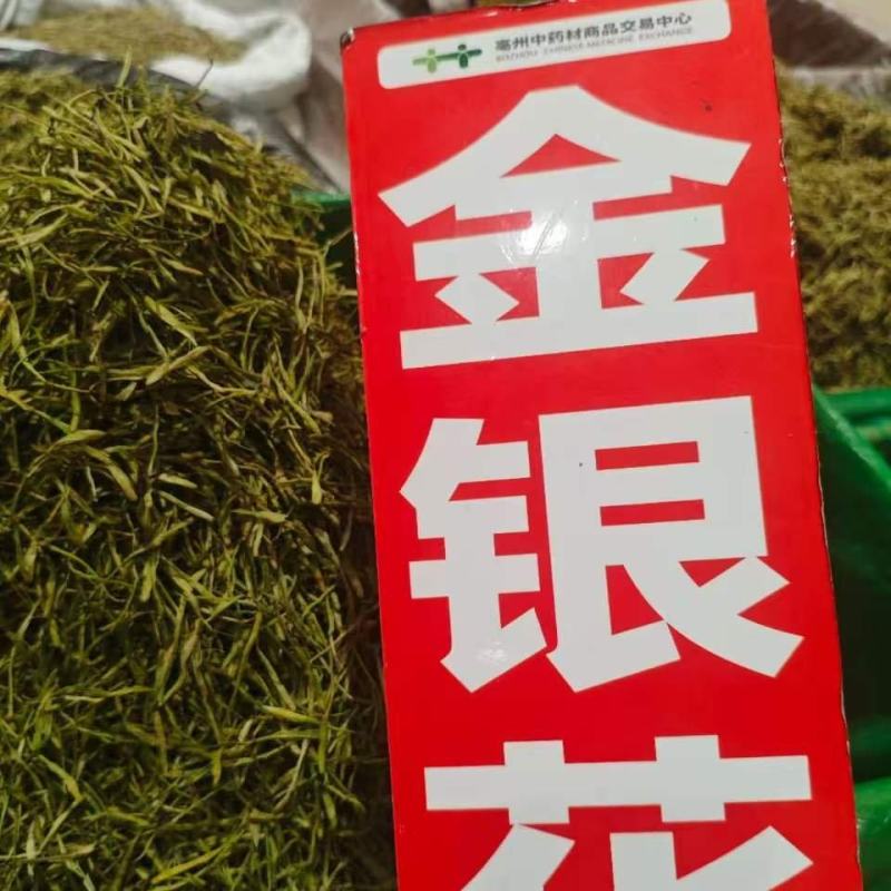 金银花