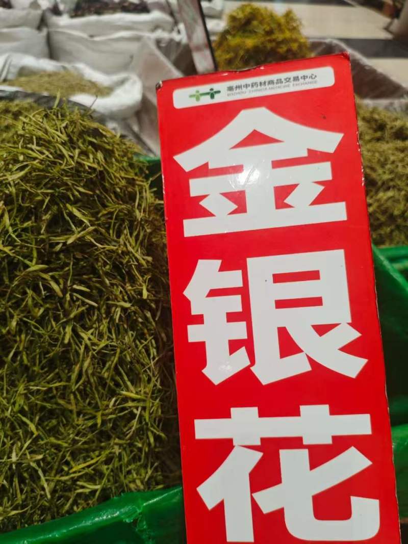 金银花