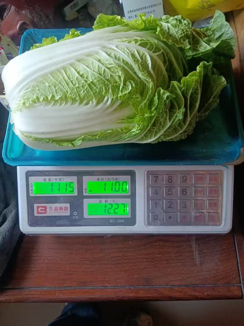 甘肃高原夏菜质量好颜色正，产地直发，支持全国发货