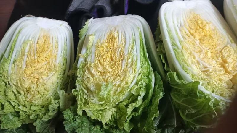 甘肃高原夏菜质量好颜色正，产地直发，支持全国发货