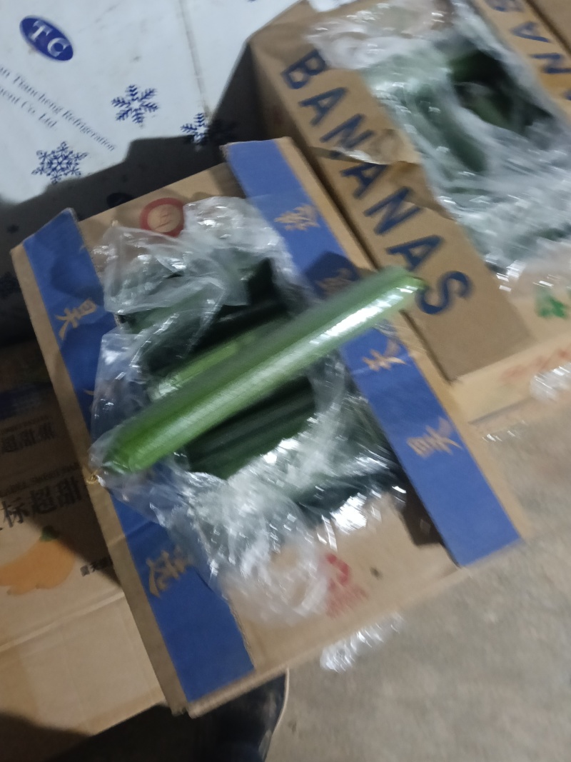 油皮丝瓜