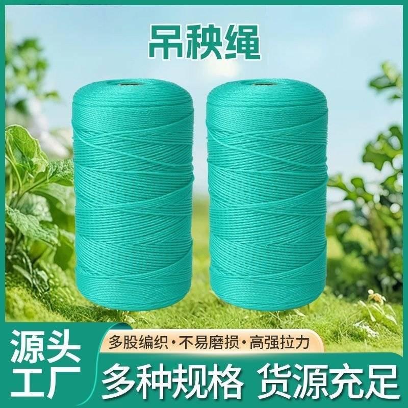 吊秧绳吊蔓绳黄瓜西红柿辣椒吊绳蔬菜大棚耐磨聚乙烯线农用