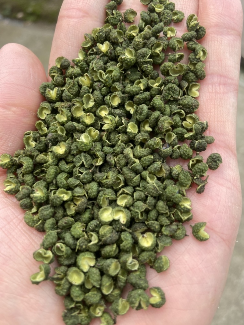 【自家基地直供】精品青花椒/鲜绿麻香/餐饮批发/新货上市