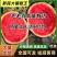 东北大棚甜王大掉价，价格便宜，3，4毛钱大量有货，质量三