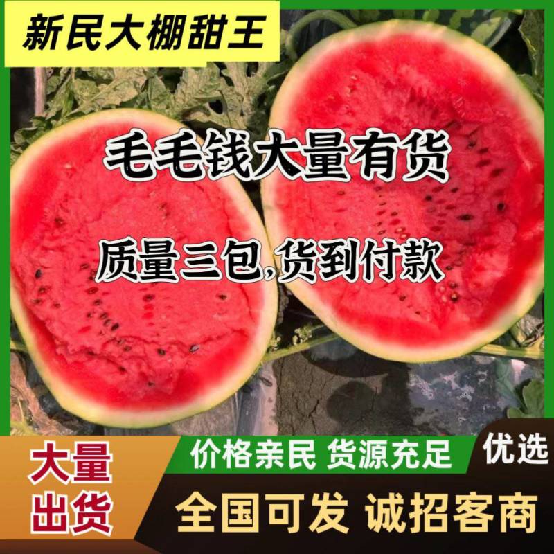 东北大棚甜王大掉价，价格便宜，3，4毛钱大量有货，质量三