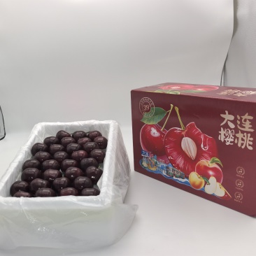 大连美早樱桃产地直供供货商，基地+完整供应2.5样品邮寄