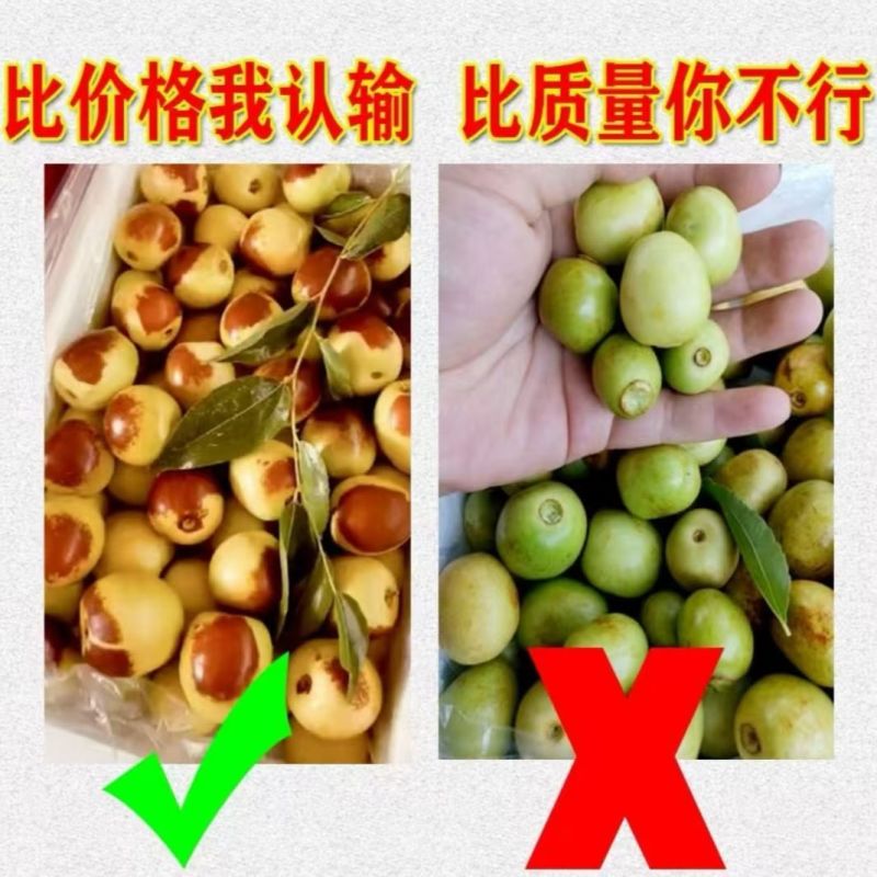 《一件代发》陕西大荔冬枣，鲜枣电商平台对接各大电商平台日