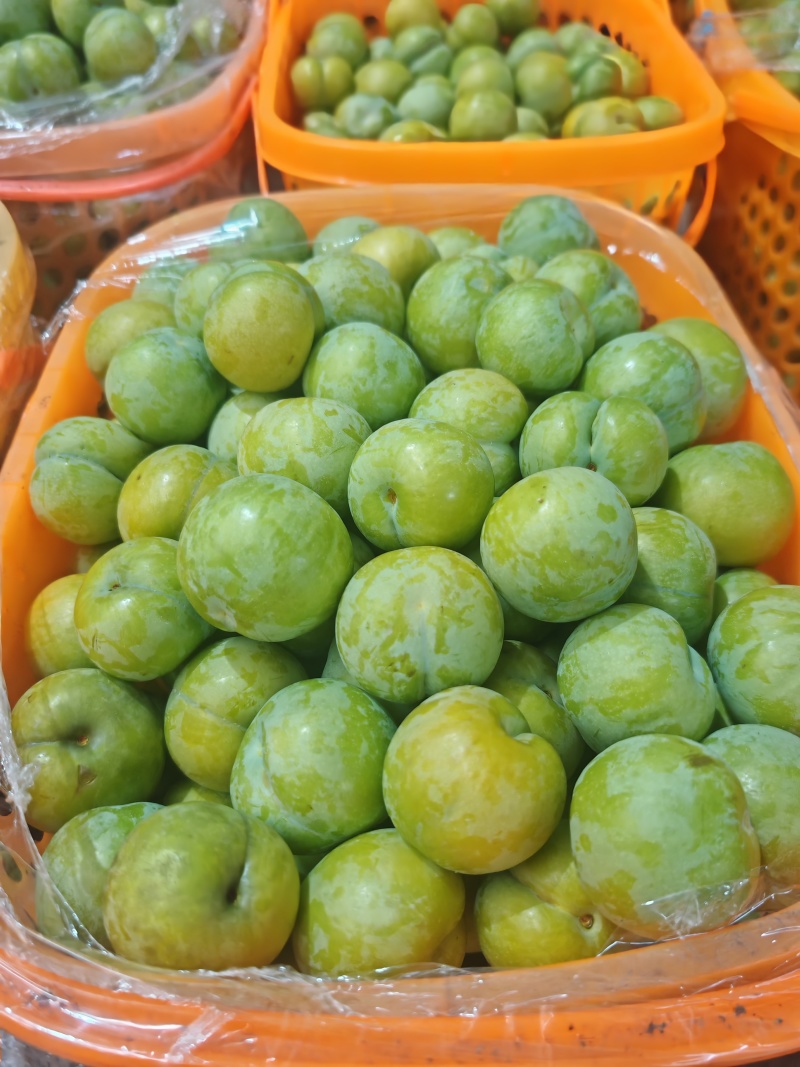 贵蜂糖李