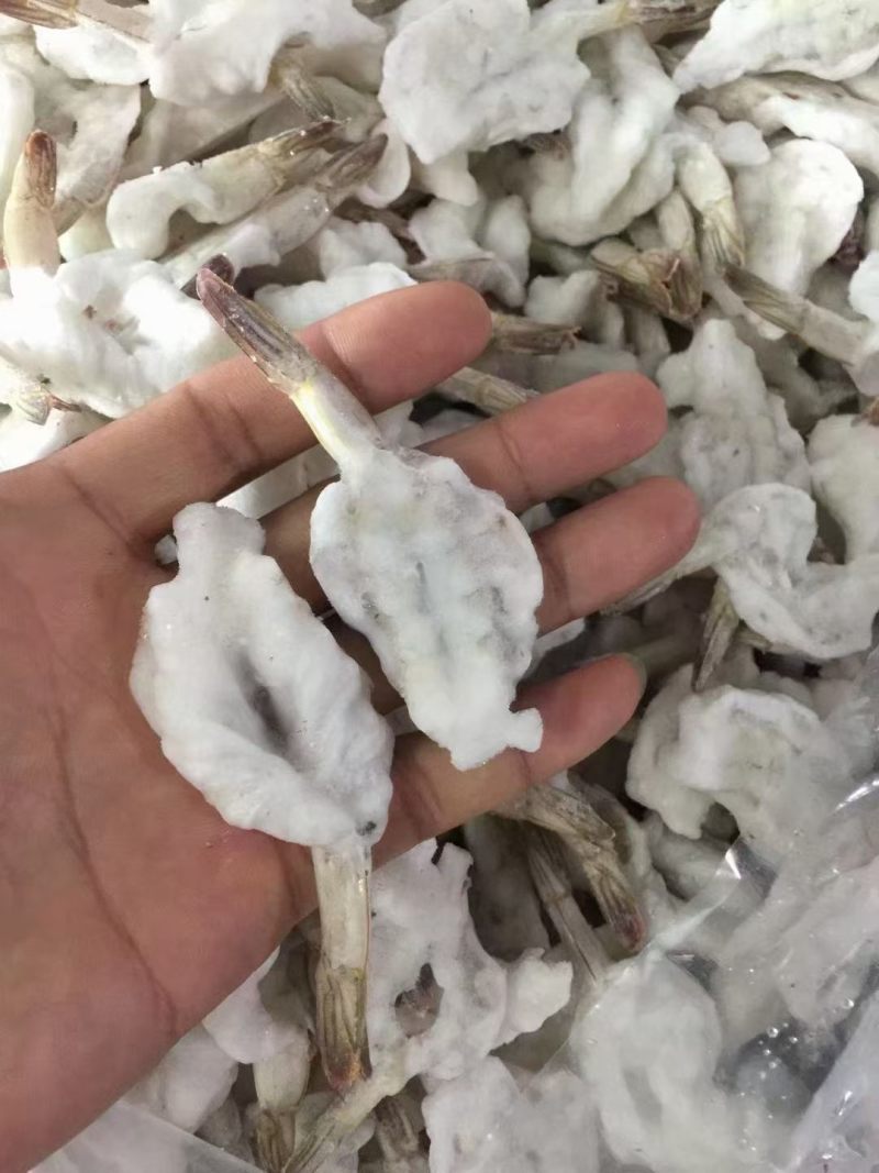 蝴蝶虾水煮汉虾酒店食材一手货源大量现货供应