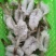 蝴蝶虾水煮汉虾酒店食材一手货源大量现货供应