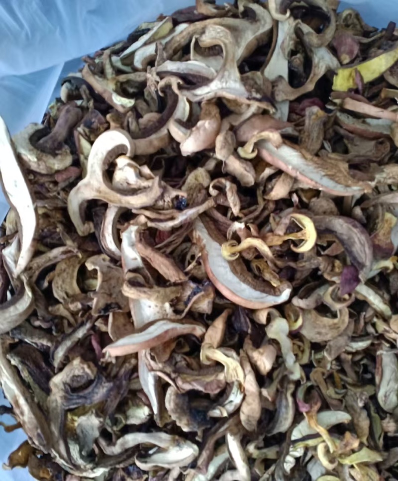 云南野生食用菌干货牛肝菌片红葱片青头菌干各类野菌