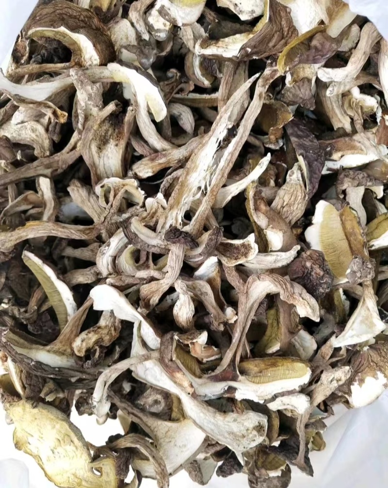 云南野生食用菌干货牛肝菌片红葱片青头菌干各类野菌