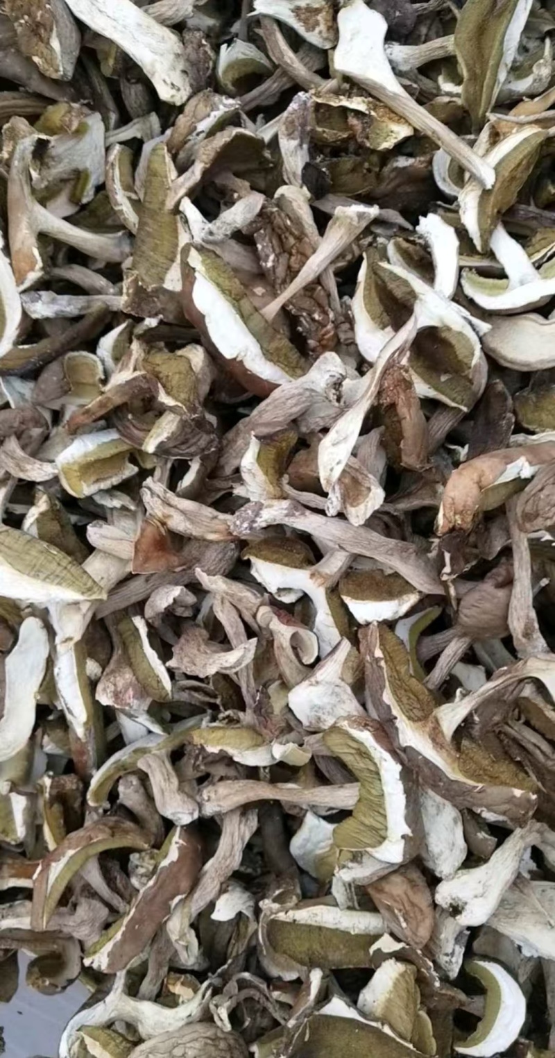 云南野生食用菌干货牛肝菌片红葱片青头菌干各类野菌