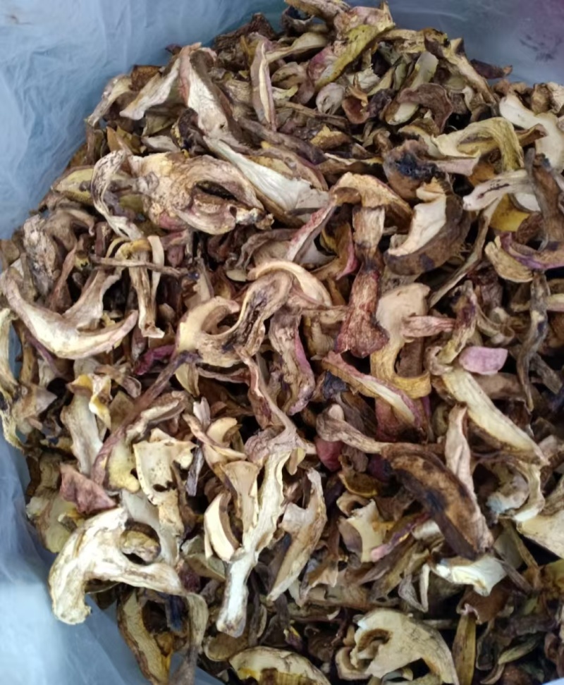 云南野生食用菌干货牛肝菌片红葱片青头菌干各类野菌