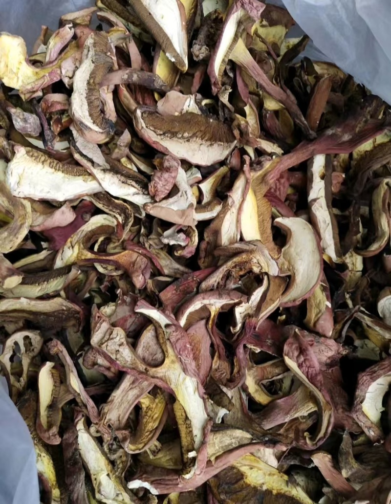 云南野生食用菌干货牛肝菌片红葱片青头菌干各类野菌