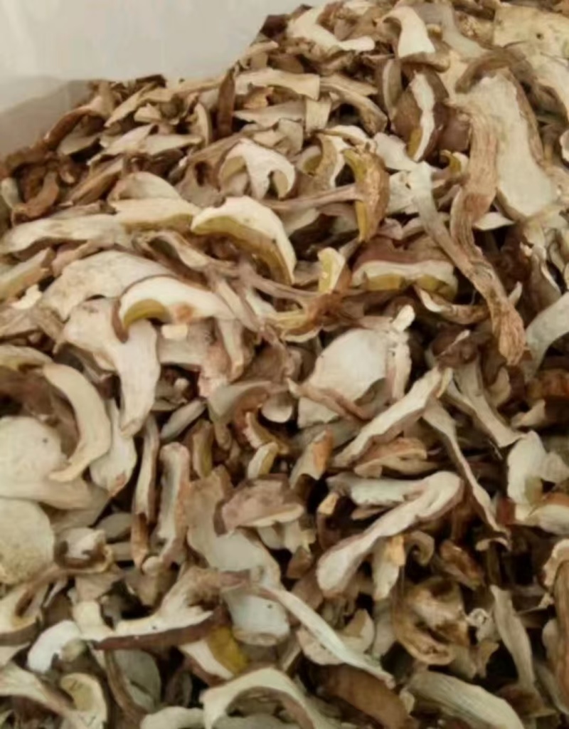 云南野生食用菌干货牛肝菌片红葱片青头菌干各类野菌