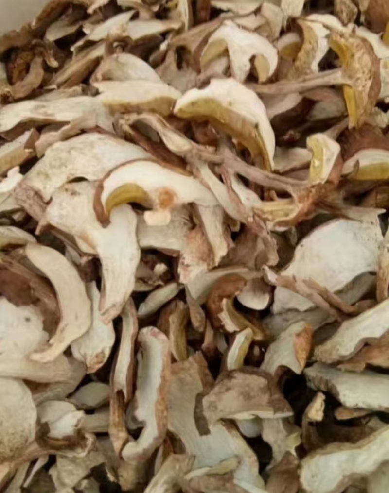 云南野生食用菌干货牛肝菌片红葱片青头菌干各类野菌