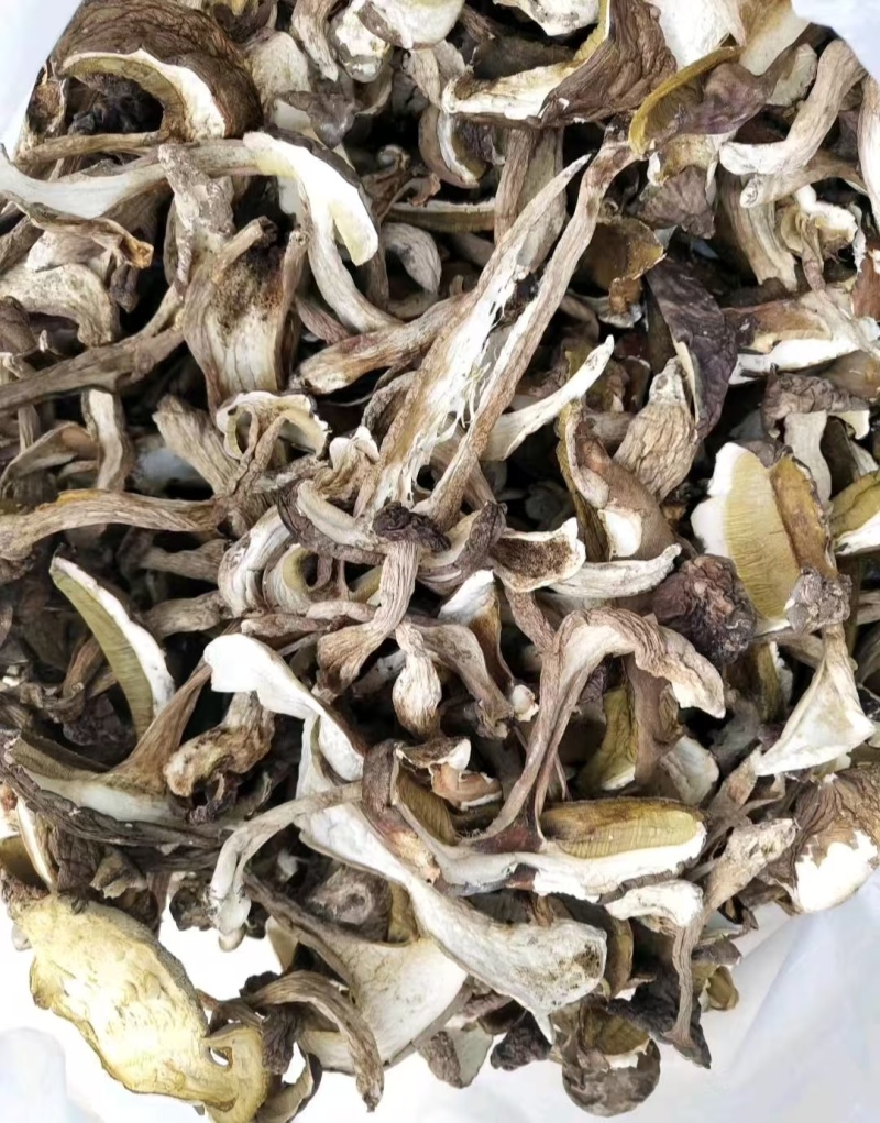 云南野生食用菌干货牛肝菌片红葱片青头菌干各类野菌