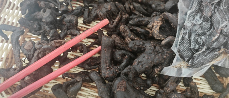 黄精大量供应