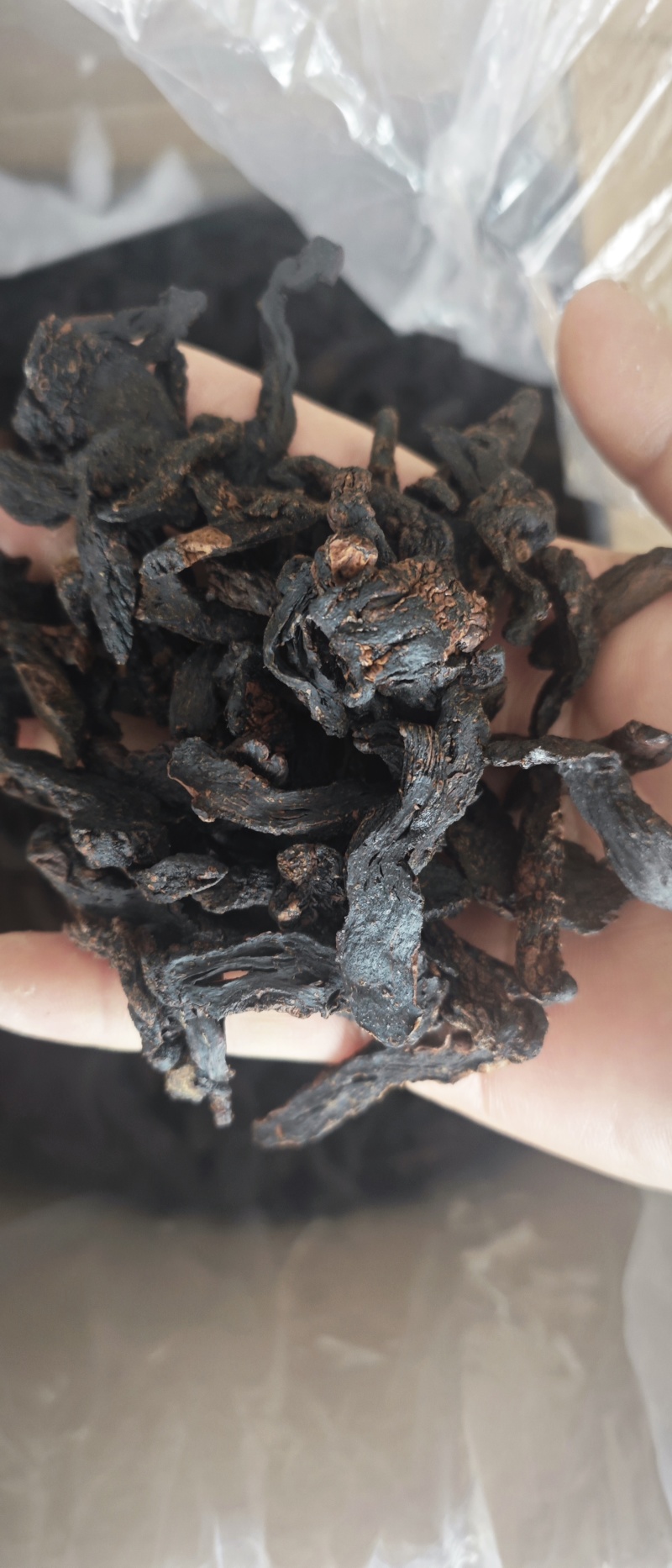 黄精大量供应
