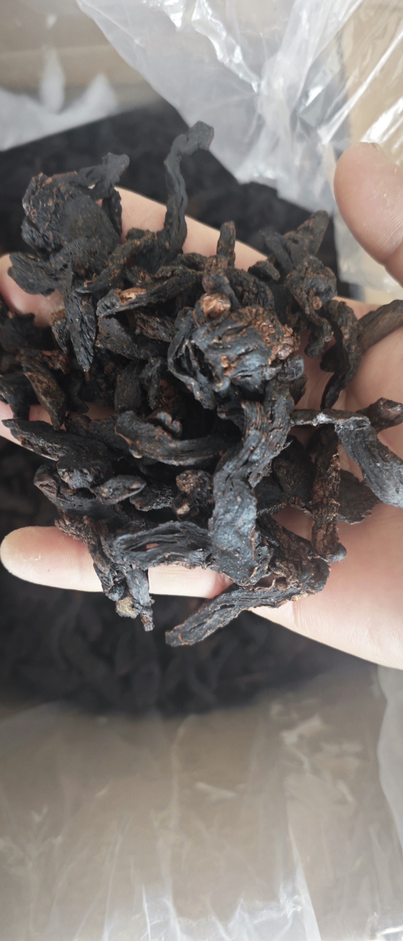黄精大量供应