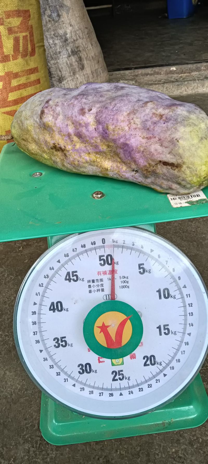 【正宗云南高山八月瓜】产地直发无中间商赚差价