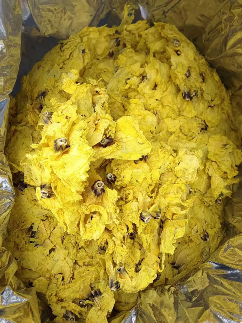 黄蜀葵花干货切段蜀葵根黄蜀葵花常年经营各种中药材