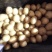 精品迷你小土豆，黄皮黄心，大量供应