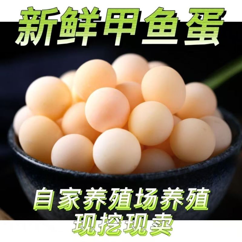 甲鱼蛋/一件代发