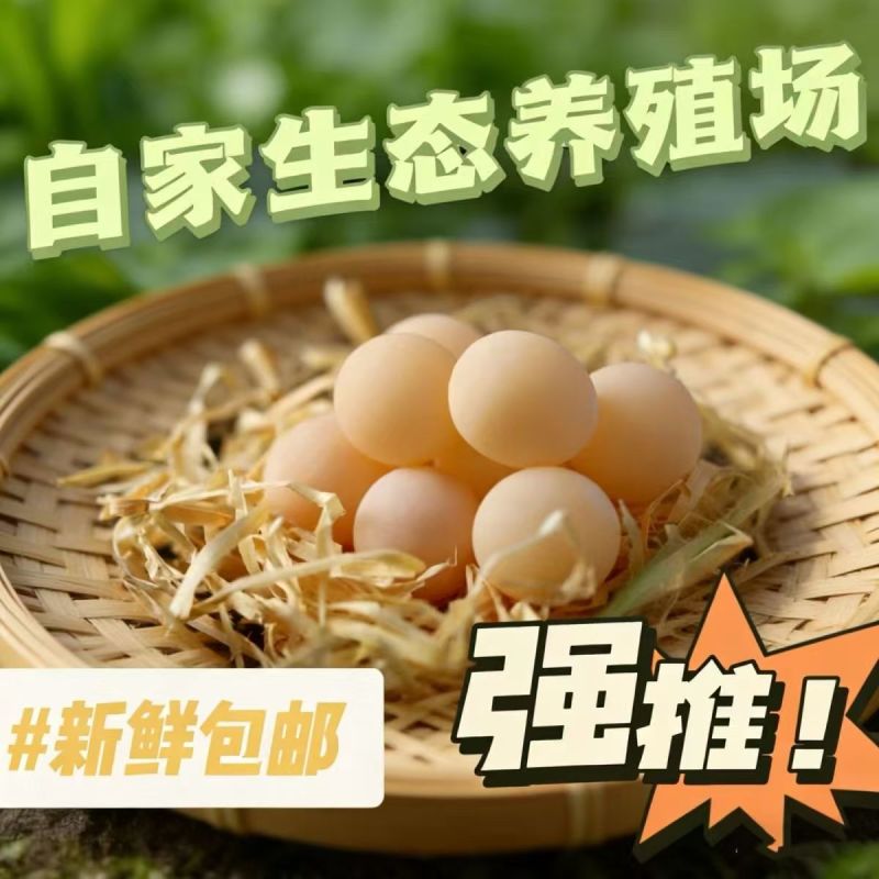 甲鱼蛋/一件代发