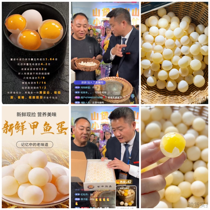 甲鱼蛋/一件代发