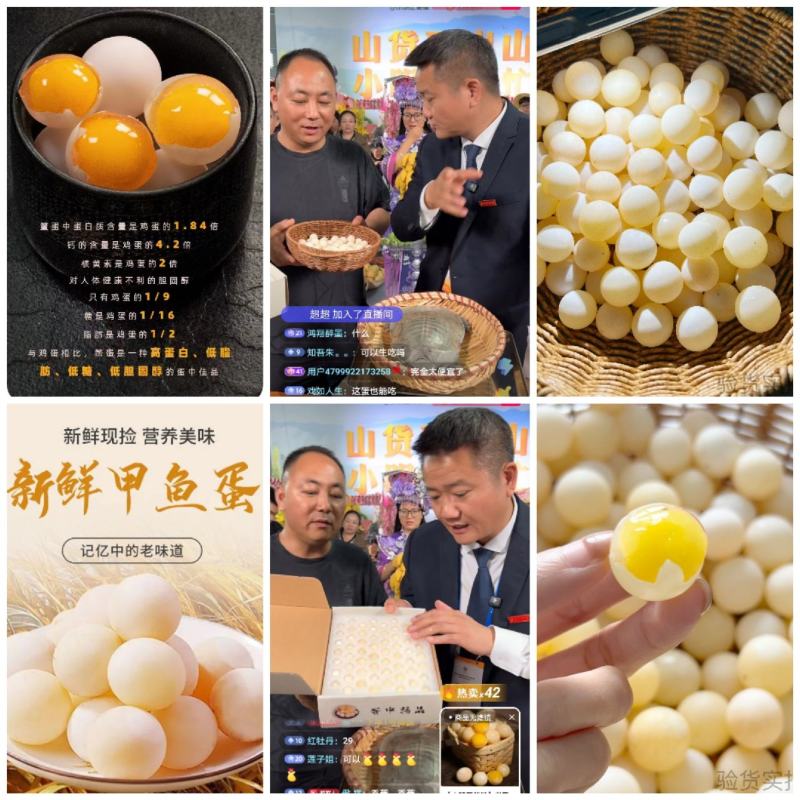 甲鱼蛋/一件代发