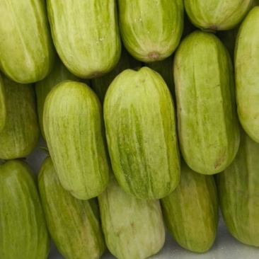 八棱脆