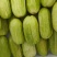 八棱脆