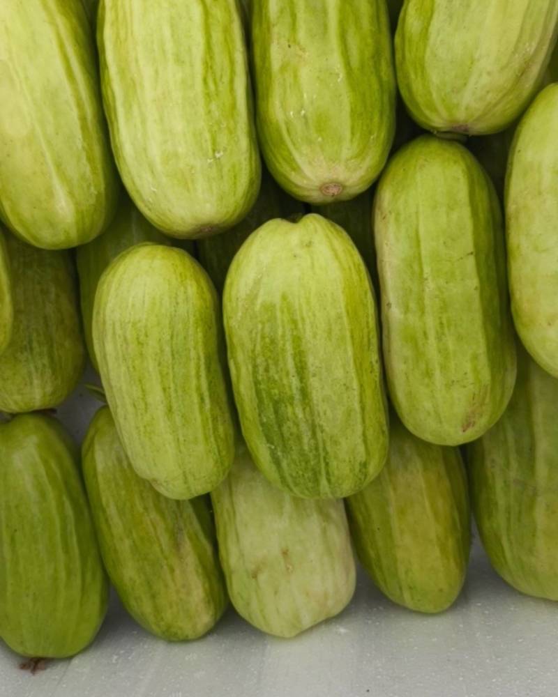 八棱脆