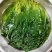 海带苗原菜