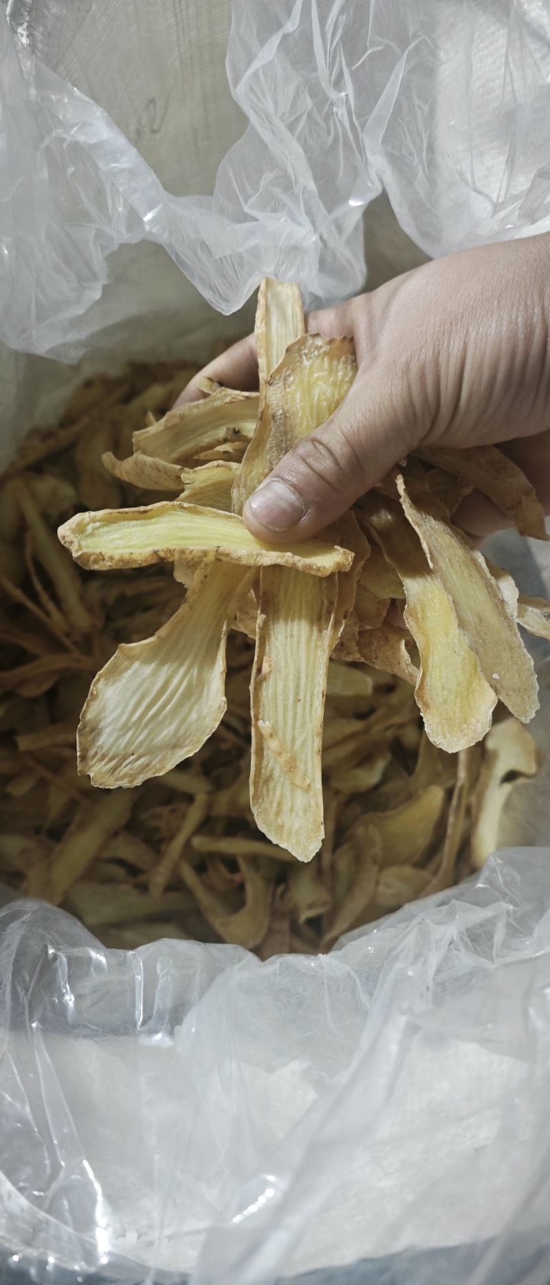 天麻大量供应