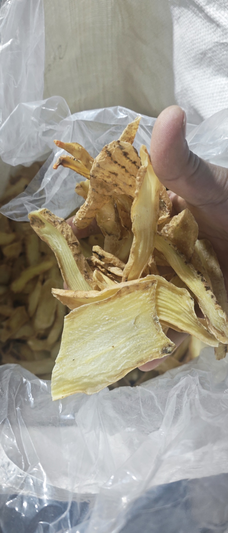 天麻大量供应