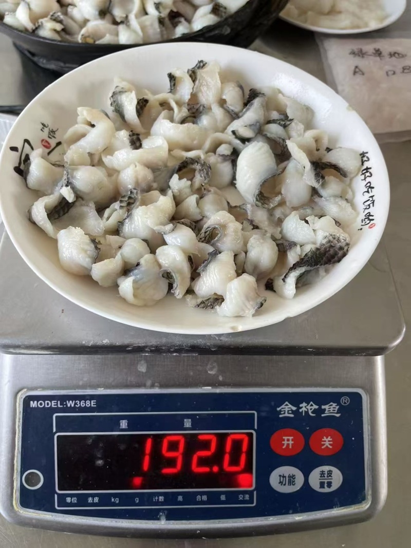 免浆黑鱼片，小片款，熟化率高，250g×25盒