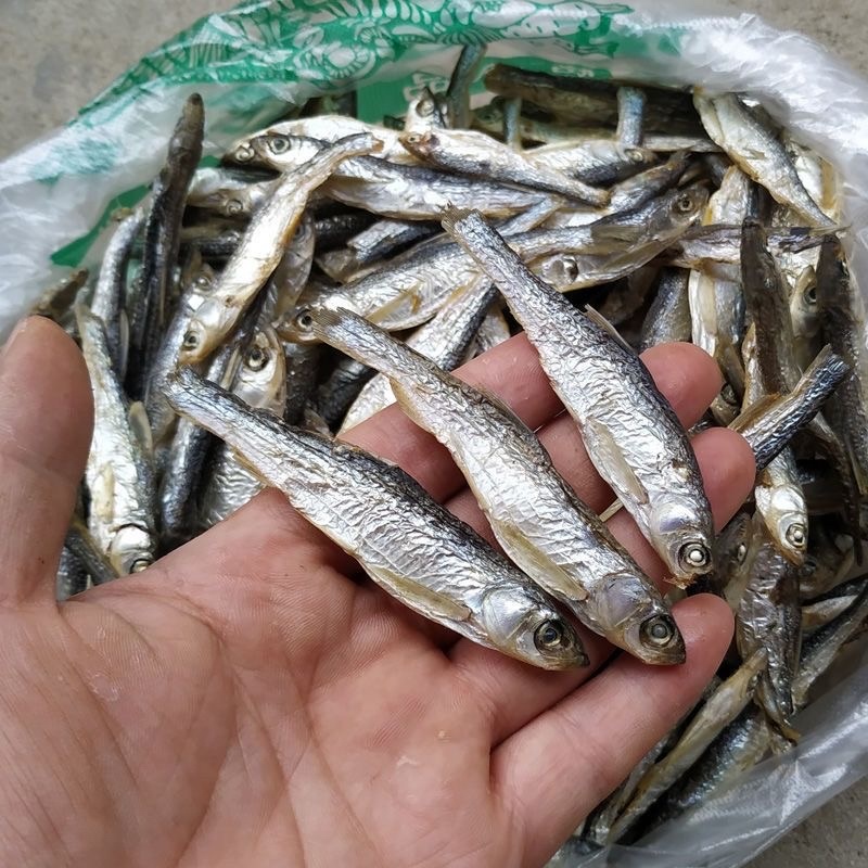 小白条亮白条鱼干蓝刀鱼干烟熏烘干
