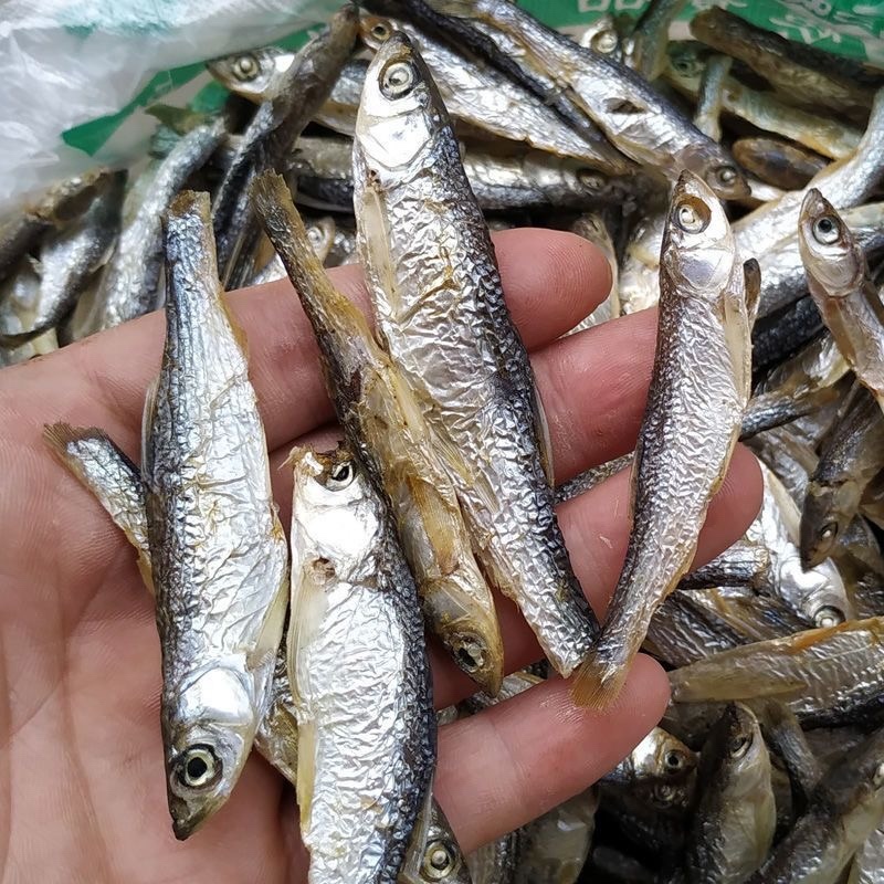 小白条亮白条鱼干蓝刀鱼干烟熏烘干
