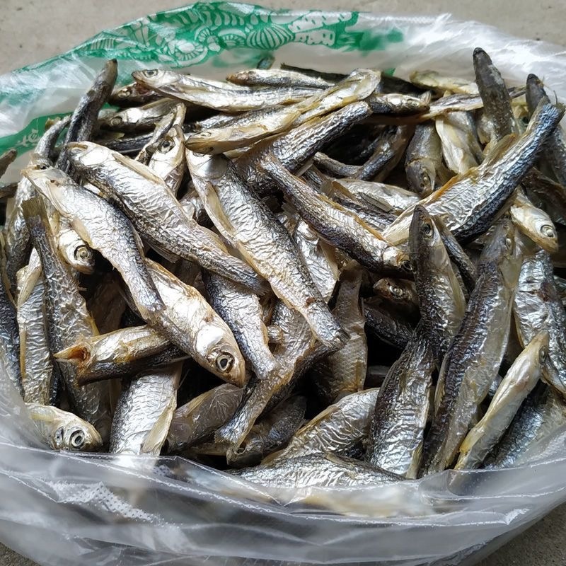 小白条亮白条鱼干蓝刀鱼干烟熏烘干