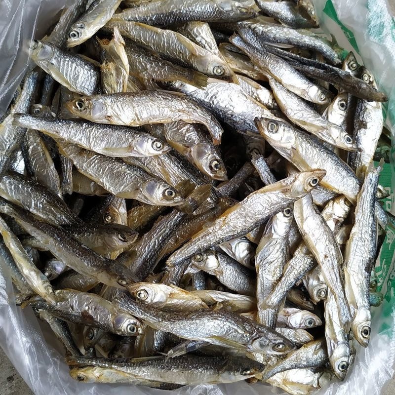 小白条亮白条鱼干蓝刀鱼干烟熏烘干