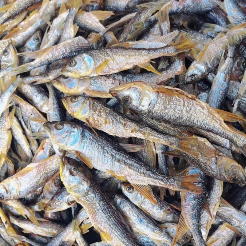 炭烤干马口鱼干溪哥桃花鱼干，大嘴马口小嘴都有